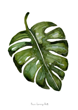 Load image into Gallery viewer, Delicious Monstera Leaf Watercolour Print