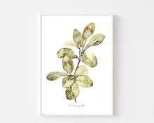 Load image into Gallery viewer, Ficus Audrey Watercolour Painting Print