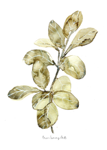 Load image into Gallery viewer, Green and Black Watercolour Print Combo -3 Piece Set