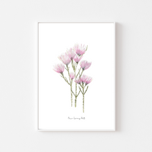 Load image into Gallery viewer, Cape Strawflower Watercolour Print
