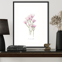 Load image into Gallery viewer, Cape Strawflower Watercolour Print