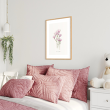 Load image into Gallery viewer, Cape Strawflower Watercolour Print