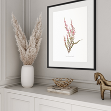 Load image into Gallery viewer, Pink Erica Watercolour Print