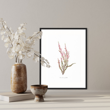 Load image into Gallery viewer, Pink Erica Watercolour Print