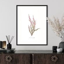 Load image into Gallery viewer, Pink Erica Watercolour Print