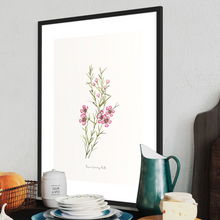 Load image into Gallery viewer, Geraldton Wax Watercolour Print