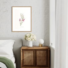 Load image into Gallery viewer, Geraldton Wax Watercolour Print