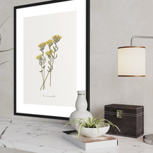 Load image into Gallery viewer, Helichrysum Watercolour Print