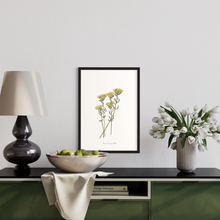 Load image into Gallery viewer, Helichrysum Watercolour Print