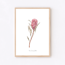 Load image into Gallery viewer, Red Ice Protea Watercolour Print