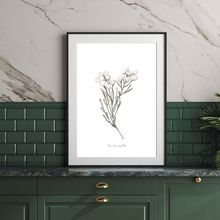 Load image into Gallery viewer, Silver Brunia Watercolour Print