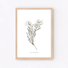 Load image into Gallery viewer, Silver Brunia Watercolour Print