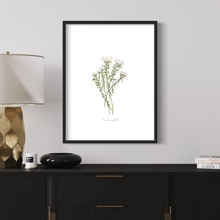 Load image into Gallery viewer, White Bristle Watercolour Print