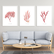 Load image into Gallery viewer, Gerrikes Treasure Watercolour Print - 3 Piece Set