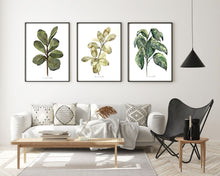 Load image into Gallery viewer, Ficus Watercolour Plants 3-Piece Set