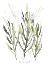 Load image into Gallery viewer, Greens and Protea Print Combo-3 Piece Set