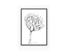 Load image into Gallery viewer, Single Hand Drawn Protea in Pencil and Ink Print