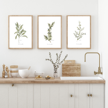 Load image into Gallery viewer, Herb Collection Watercolour Prints - 3 Piece Set