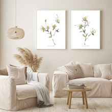 Load image into Gallery viewer, White Magnolia Watercolour Print-2 Piece Set