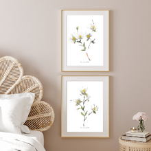 Load image into Gallery viewer, White Magnolia Watercolour Print-2 Piece Set