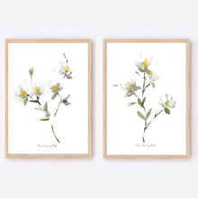 Load image into Gallery viewer, White Magnolia Watercolour Print-2 Piece Set