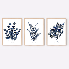 Load image into Gallery viewer, Navy Botanical Watercolour Print 3-Piece Set