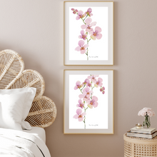 Load image into Gallery viewer, Pink Orchid Stems Watercolour Print 2-Piece Set