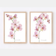 Load image into Gallery viewer, Pink Orchid Stems Watercolour Print 2-Piece Set