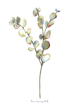 Load image into Gallery viewer, Greens and Protea Print Combo-3 Piece Set