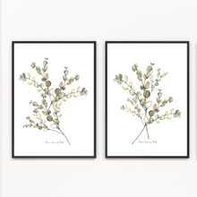 Load image into Gallery viewer, Penny Gum Bunch Watercolour Print-2 Piece Set