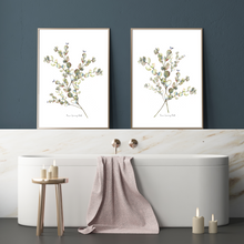 Load image into Gallery viewer, Penny Gum Bunch Watercolour Print-2 Piece Set