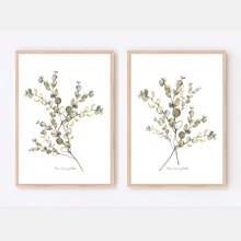 Load image into Gallery viewer, Penny Gum Bunch Watercolour Print-2 Piece Set