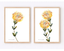 Load image into Gallery viewer, Pin Cushion Watercolour Print-2 Piece Set