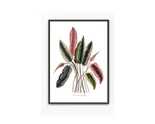 Load image into Gallery viewer, Pink and Green Tropical Leaves Print
