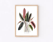 Load image into Gallery viewer, Pink and Green Tropical Leaves Print
