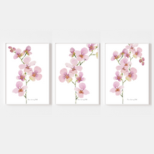 Load image into Gallery viewer, Pink Orchid Stem Watercolour Print-3 Piece Set