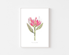 Load image into Gallery viewer, Pink Protea Floral Watercolour Print