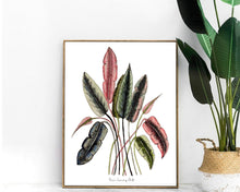 Load image into Gallery viewer, Pink and Green Tropical Leaves Print