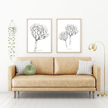 Load image into Gallery viewer, Protea Drawing Combo-2 Piece Set