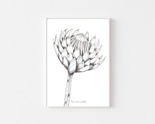 Load image into Gallery viewer, Single Hand Drawn Protea in Pencil and Ink Print