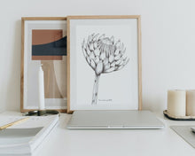 Load image into Gallery viewer, Single Hand Drawn Protea in Pencil and Ink Print