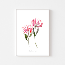 Load image into Gallery viewer, Sweet Proteas Watercolor Painting Print