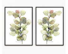 Load image into Gallery viewer, Twin Leaves Eucalyptus Watercolour Print 2-Piece Set