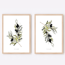 Load image into Gallery viewer, Wild Olive Watercolour Print - 2 Piece Set