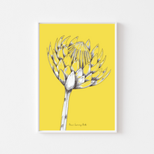 Load image into Gallery viewer, Single Yellow Protea Drawing Print