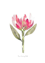 Load image into Gallery viewer, Pink Protea Floral Watercolour Print