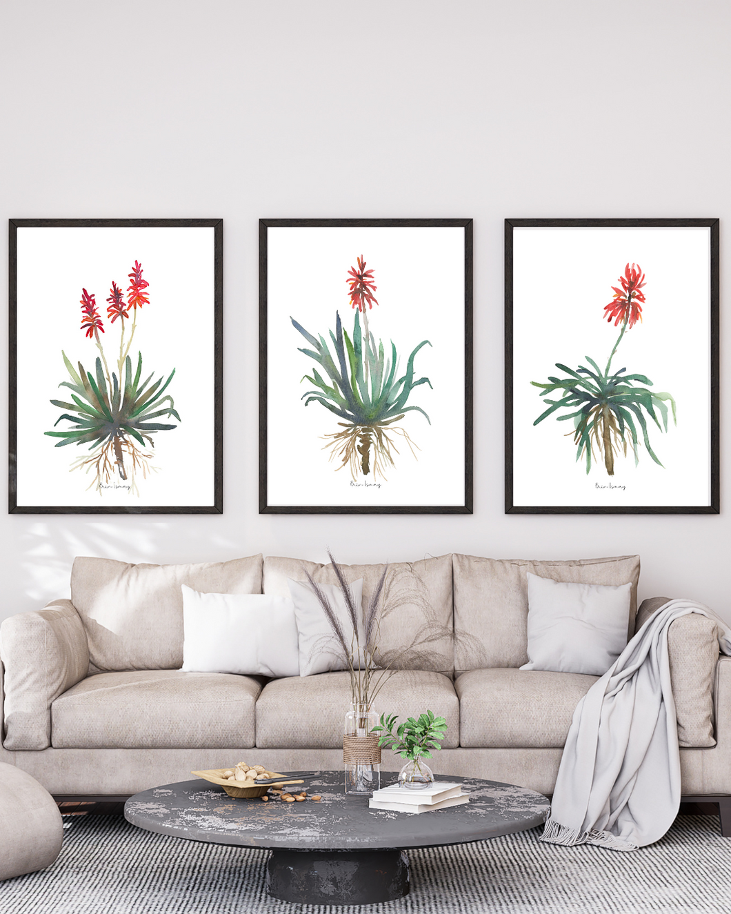 African Aloe Watercolour Print - 3-Piece Set