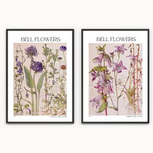 Load image into Gallery viewer, Vintage Botanical Bell Flowers - 2 Piece Mounted Print Set by Harriet Isabel Adams
