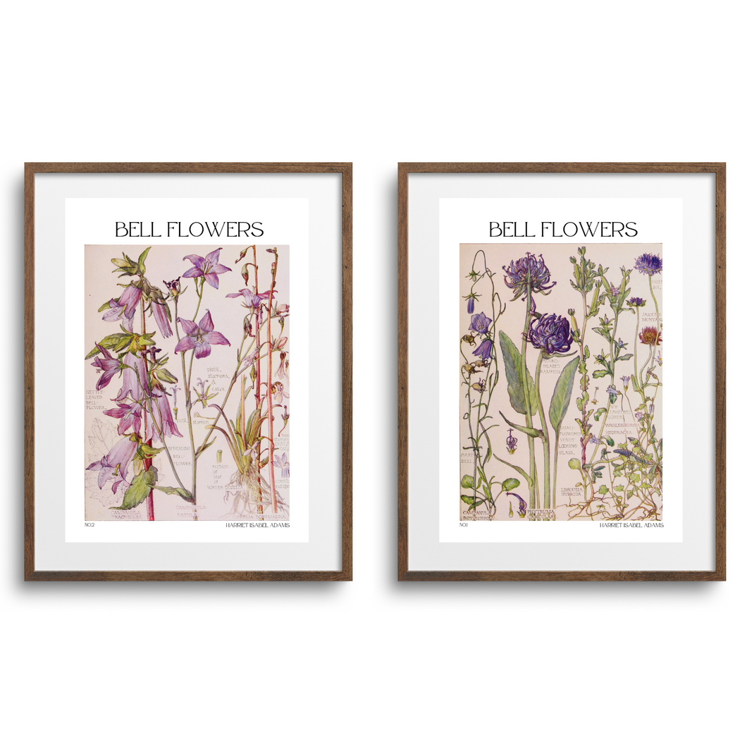 Bell Flowers Botanical -2 Piece Set by Harriet Isabel Adams
