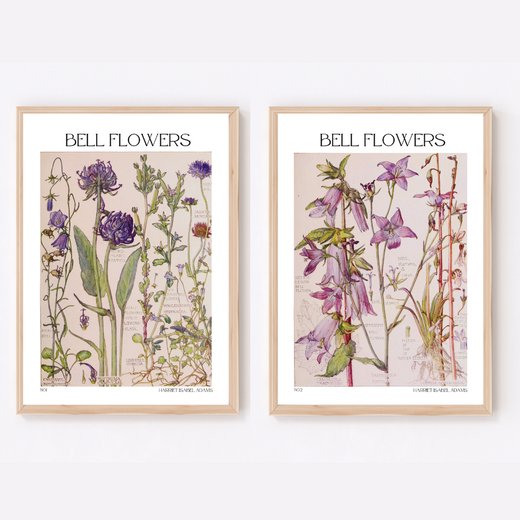Vintage Botanical Bell Flowers - 2 Piece Mounted Print Set by Harriet Isabel Adams